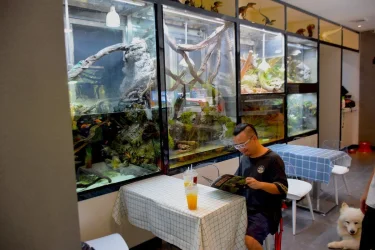 Heiko Bleher China coffee shop (2).webp