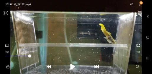 Screenshot_20191112-212054_Video Player.webp