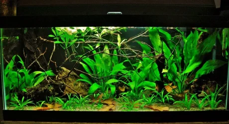 40g May 20-16.webp