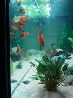 20191208_220726_001.webp