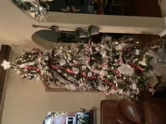 FA36F6A2-B011-4BA9-BA7E-0160B89051C2.webp
