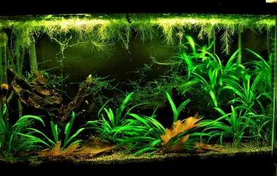 10g Sept 9-17.webp