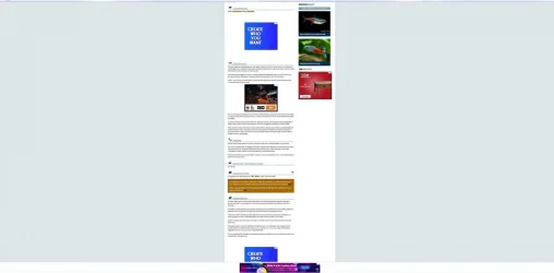 SF without ad block.webp