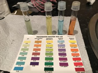 Test Results.jpg