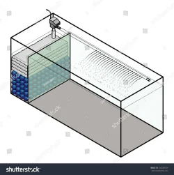 stock-vector-a-large-aquarium-with-a-built-in-filter-compartment-245268769.webp