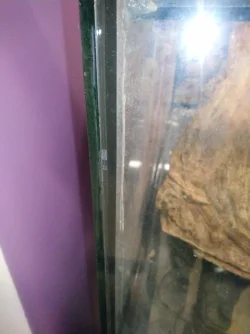 received_485568609008961.webp