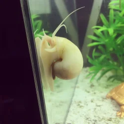 35842EB5-AB5D-4AB0-8E43-EC50E8C36307.webp