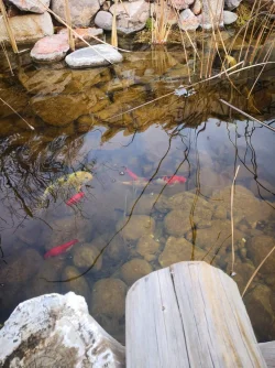 IMG_20200119_154444.webp