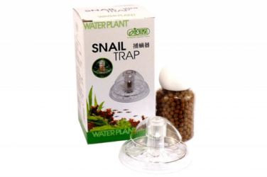 Snail-Trap-e1508313053833.png