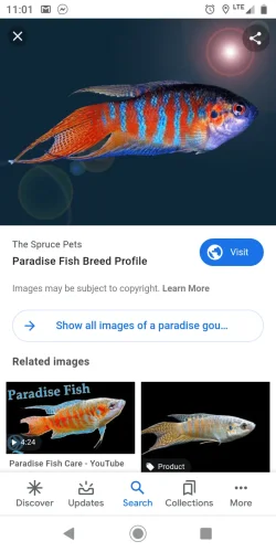Screenshot_20200209-110154.webp