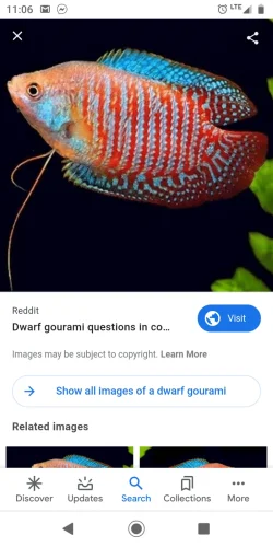Screenshot_20200209-110641.webp