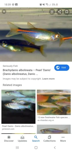 Screenshot_20200217-185911_Google.webp