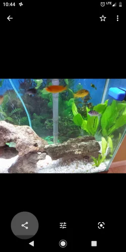 Screenshot_20200229-104416.webp