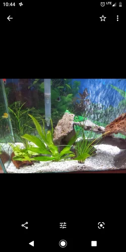 Screenshot_20200229-104409.webp