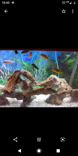 Screenshot_20200229-104357.webp