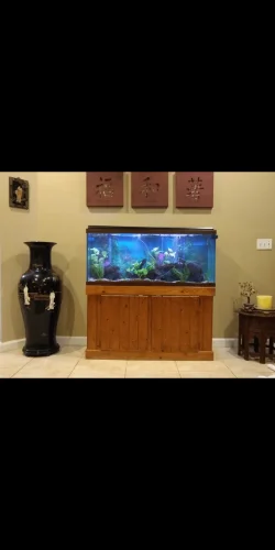 Screenshot_20200229-111323.webp