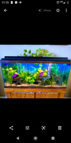 Screenshot_20200229-111354.webp