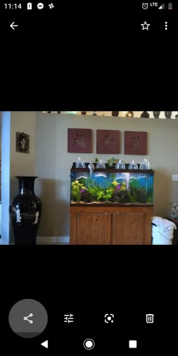 Screenshot_20200229-111418.webp