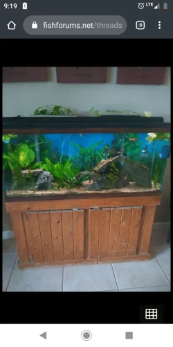 Screenshot_20200229-091954.webp