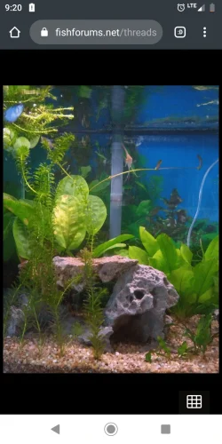 Screenshot_20200229-092028.webp