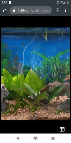 Screenshot_20200229-092047.webp