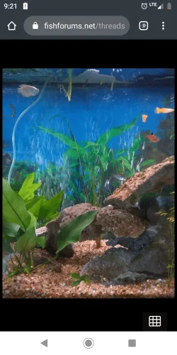Screenshot_20200229-092125.webp