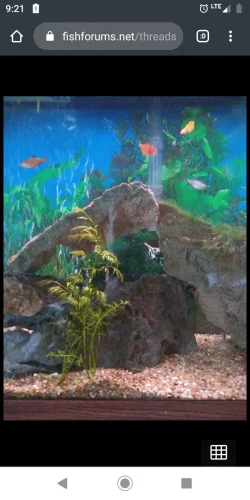 Screenshot_20200229-092150.webp