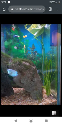 Screenshot_20200229-092217.webp