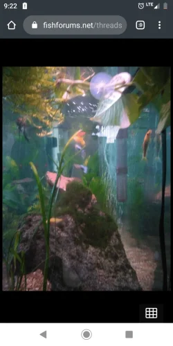 Screenshot_20200229-092238.webp