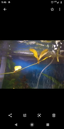Screenshot_20200229-094652.webp