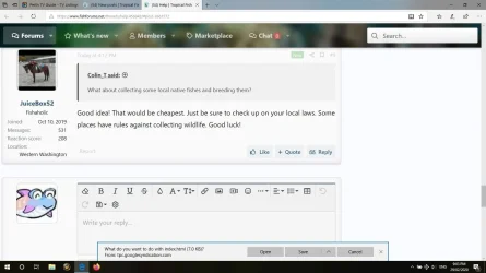 virus fishforum1.webp