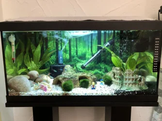 Tank full.webp