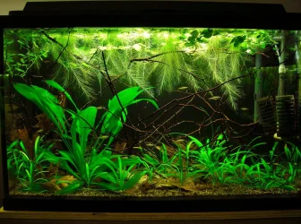 29g Feb 10-15.webp