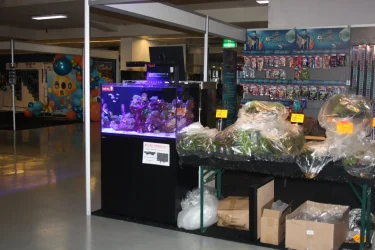 Vivarium 2019  November 3rd 2019 day 2 005.webp