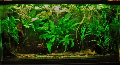 33g April 28-16.webp