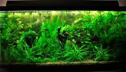 90g May 22-10.webp
