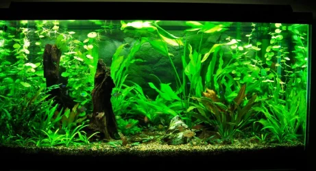 90g Apr 6-09.webp