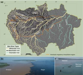 Amazon Basin River Types.webp
