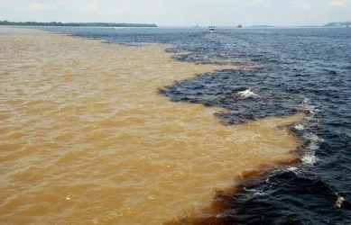 Rio Negro & Amazon meeting.webp