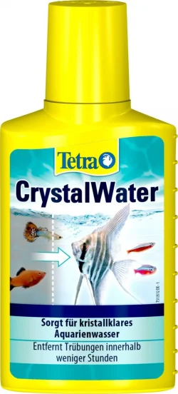 water.webp
