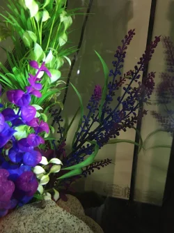 C983210D-A3D9-4E08-BBC6-6C84DC3B0806.webp