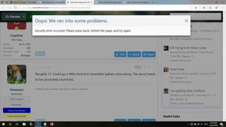 fish forum bug 24march2020.webp