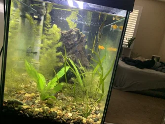 9799D376-672D-4D9A-9EDE-9411E6057487.webp