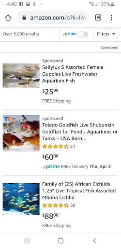 Screenshot_20200327-164057_Chrome.webp