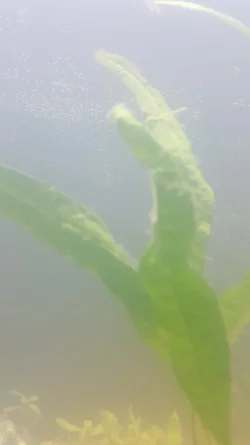 15855950662471307105498.webp