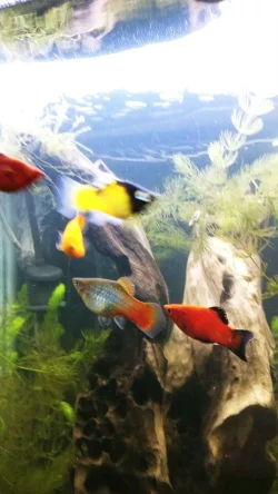0408201215c.webp 0408201215c.webp