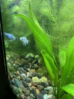 699F1F73-4378-44AC-AAF0-059B3FAE8B11.webp