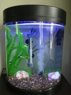 tankviewfull.JPG tankviewfull.JPG