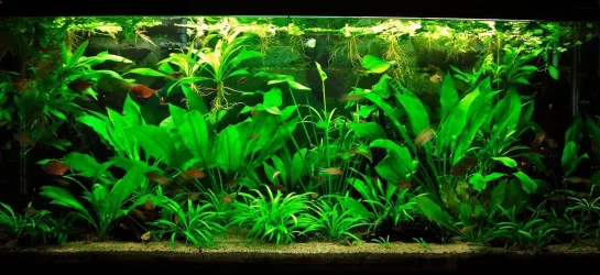 115g May 27-14.webp