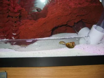 tank_057_crp.webp